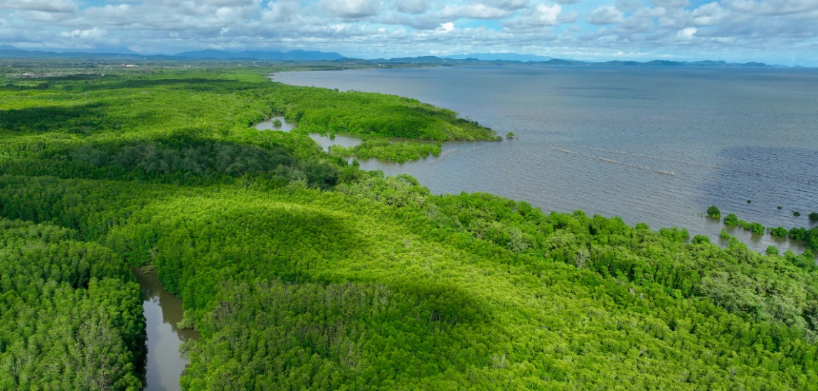 AI-Driven Ocean Carbon Recovery Systems and Marine Climate Stabilization Frameworks