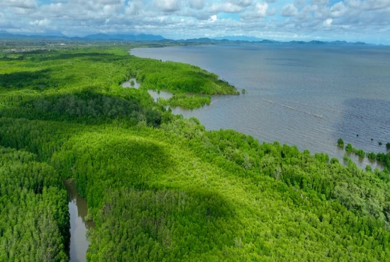AI-Driven Ocean Carbon Recovery Systems and Marine Climate Stabilization Frameworks