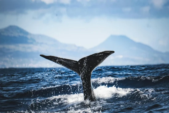AI-Driven Oceanic Exploration Systems and Deep-Sea Environmental Analytics Frameworks