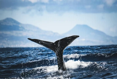 AI-Driven Oceanic Exploration Systems and Deep-Sea Environmental Analytics Frameworks