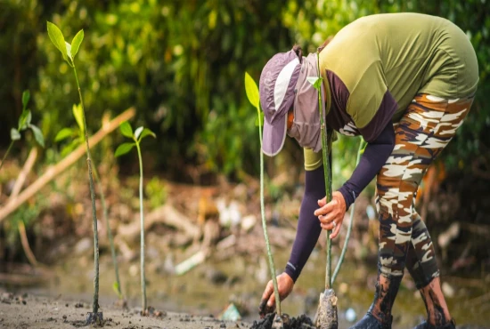 AI-Driven Synthetic Ecosystem Engineering Platforms and Planetary Biodiversity Restoration Networks