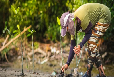 AI-Driven Synthetic Ecosystem Engineering Platforms and Planetary Biodiversity Restoration Networks