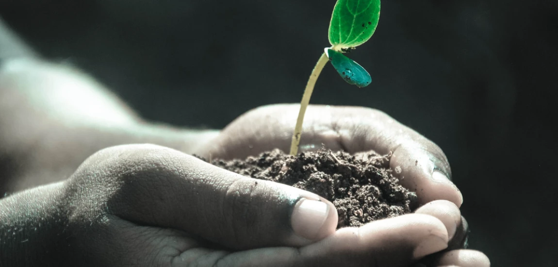 AI-Powered Wealth Preservation Frameworks for the Future of Personal Finance
