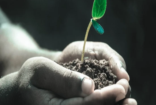 AI-Powered Wealth Preservation Frameworks for the Future of Personal Finance