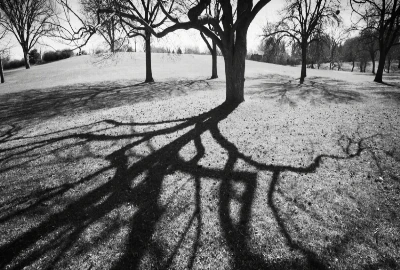 Silence as Story: Designing with Absence, Gaps, and Non-Content