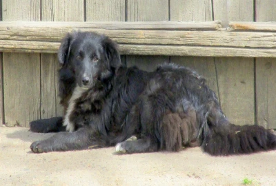 Stress-Reducing Wealth Architecture – Designing Finances That Calm the Nervous System