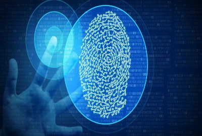 Stress-Reducing Wealth Architecture – Designing Finances That Calm the Nervous System