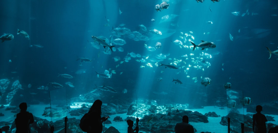 Autonomous Ocean Intelligence Networks and the Future of Smart Marine Exploration