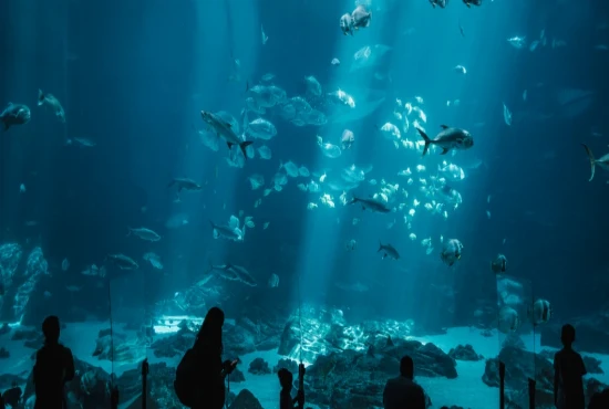 Autonomous Ocean Intelligence Networks and the Future of Smart Marine Exploration
