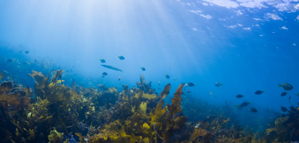 Autonomous Underwater Civilization Systems and Deep-Ocean Habitat Management Frameworks