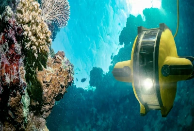 Autonomous Underwater Intelligence Systems and Deep-Sea Exploration Networks