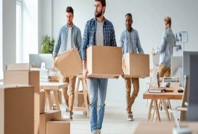 Stress-Reducing Wealth Architecture – Designing Finances That Calm the Nervous System