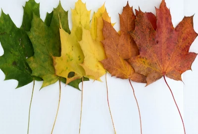 How Smart Cinema Technologies Are Transforming Theatrical Experiences