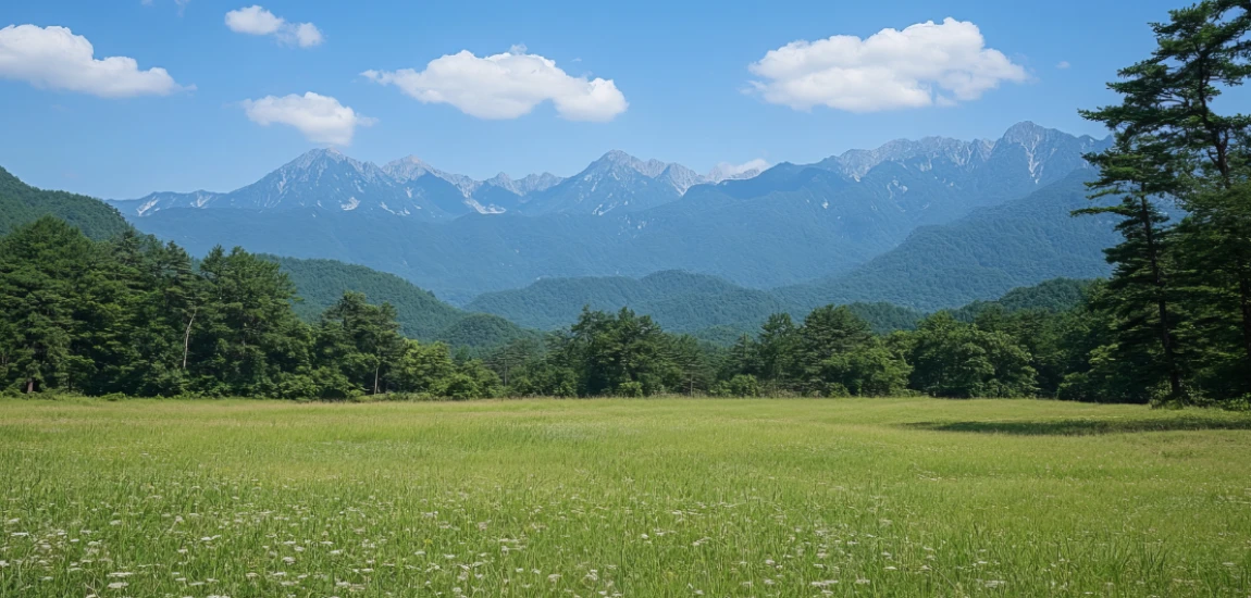 Beyond the Blue Check: What Social Media Verification Means in the AI Age