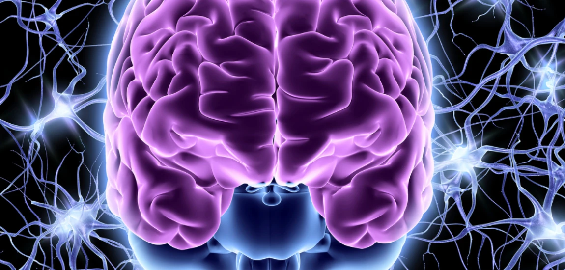 Bioelectronic Neural Interface Systems and the Evolution of Intelligent Human–Machine Integration