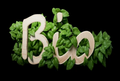 Stress-Reducing Wealth Architecture – Designing Finances That Calm the Nervous System