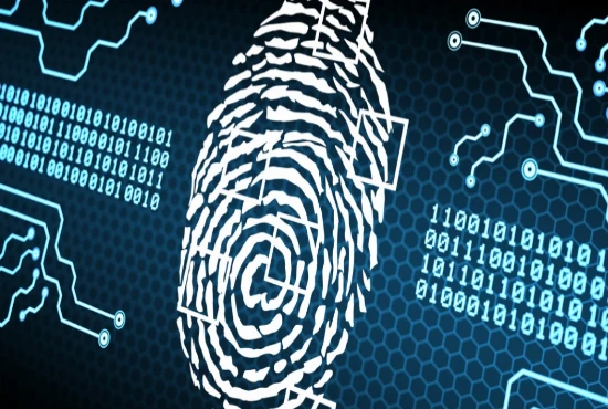 Blockchain-Powered Digital Identity Systems and the Future of Secure Global Authentication