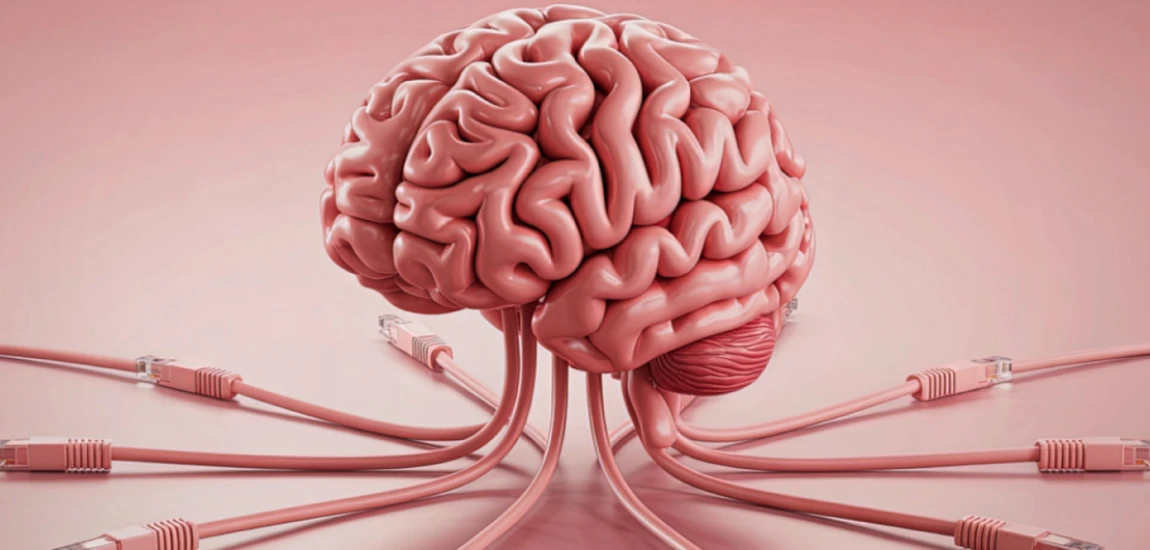 Brain–Computer Interface Intelligence Systems and Neural Signal Communication Frameworks