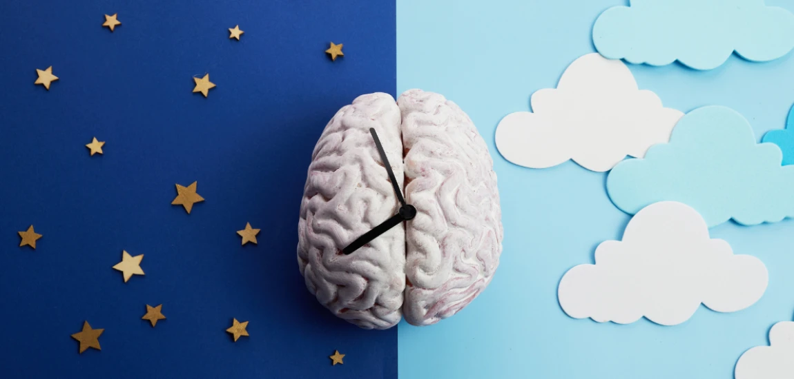 Circadian Travel Design: How Future Trips Could Be Built Around Sleep, Light, Energy, and Human Biological Rhythms