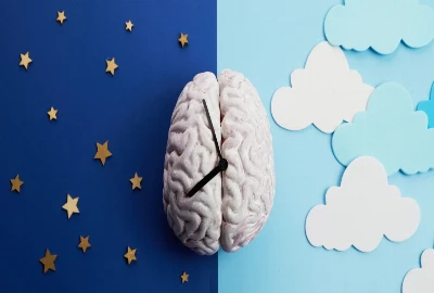 Circadian Travel Design: How Future Trips Could Be Built Around Sleep, Light, Energy, and Human Biological Rhythms