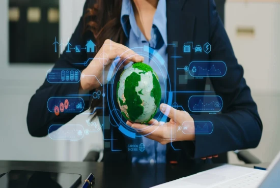 Circular Tourism Business Innovation Models: Building Sustainable and Resource-Efficient Tourism Businesses