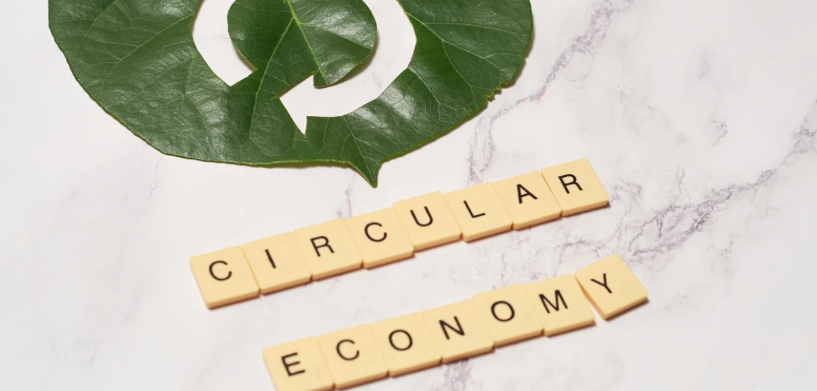 Circular Travel Economies: How Tourism Can Reduce Waste and Reuse Resources