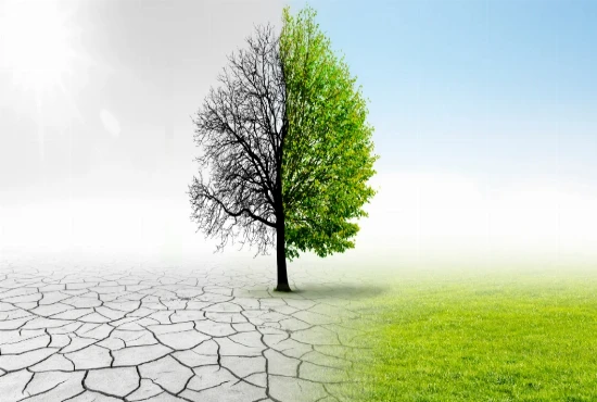 Climate-Adaptive Destination Engineering – Designing Tourism Infrastructure for Climate Changes