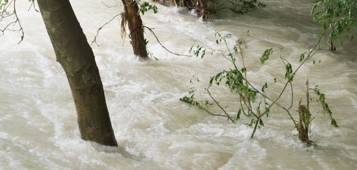 Climate-Adaptive Destinations – How Tourism Is Evolving for Heat, Floods, and Extreme Weather