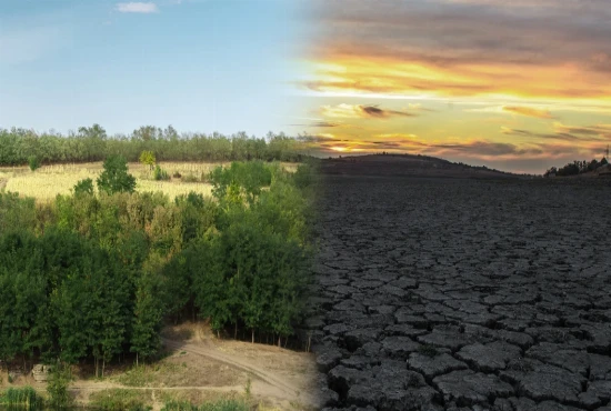 Climate-Adaptive Tourism Demand and Seasonal Transformation Models: Preparing Destinations for a Changing Climate