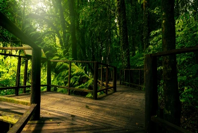 Destination Evolution Intelligence – Understanding How Tourism Destinations May Change