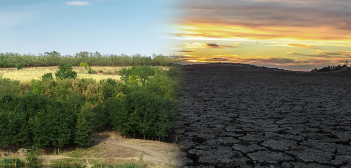  Climate-Resilient Destination Architecture – Designing Destinations to Withstand Extreme Weather and Environmental Changes