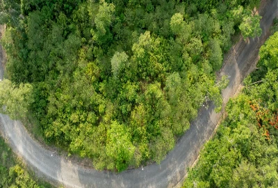Climate-Resilient Tourism Design – Preparing Destinations for Environmental Changes