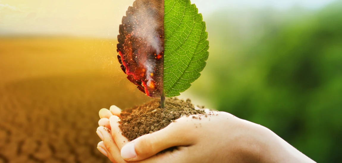Climate-Resilient Tourism Destination Networks – Preparing Tourism Destinations for Extreme Weather, Environmental Changes, and Future Climate Risks