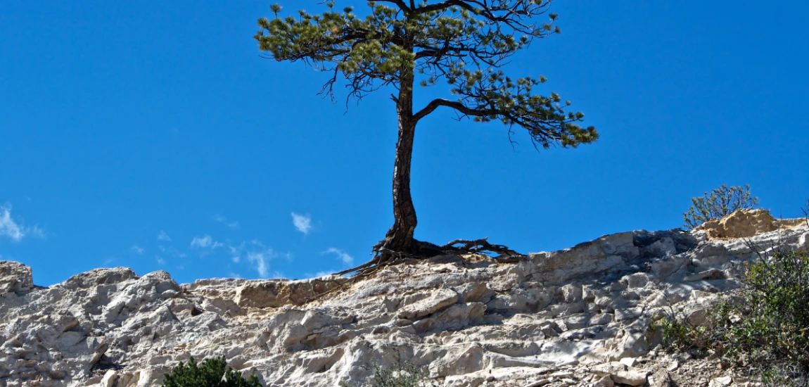 Climate-Resilient Travel Systems – Preparing Tourism Networks for Climate-Related Challenges
