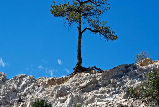 Climate-Resilient Travel Systems – Preparing Tourism Networks for Climate-Related Challenges