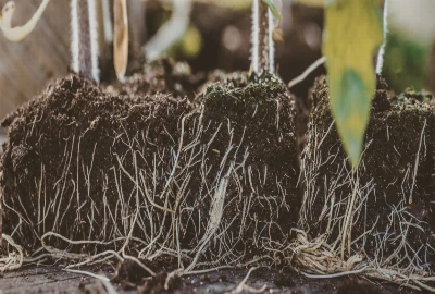 Scarcity-Mindset Reversal Frameworks – Rebuilding Financial Confidence Through Structured Abundance Reinforcement Practices