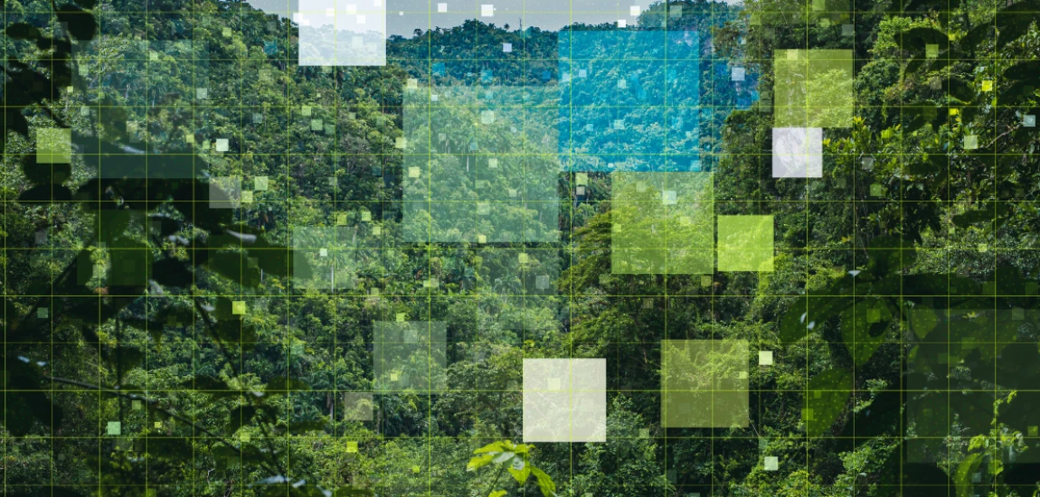 Cognitive Digital Ecosystems and the Evolution of Self-Learning Intelligent Environments
