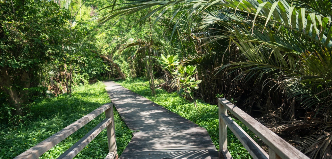 Cognitive Ease Tourism – Traveling Where Your Mind Doesn’t Have to Work Hard