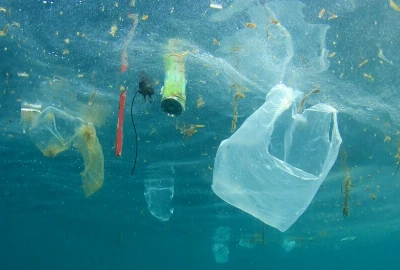Cognitive Ocean Cleanup Systems and Intelligent Marine Pollution Recovery Networks