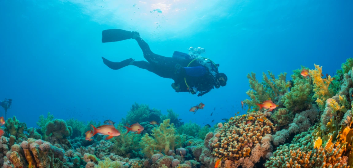 Cognitive Ocean Exploration Systems and Deep-Sea Environmental Analytics Architectures