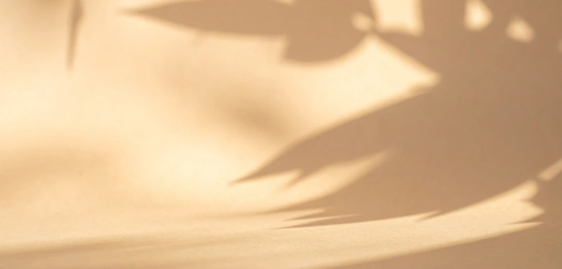 Cognitive Shadows: Fictional Characters Trained on the “Negative Space” of Human Thought