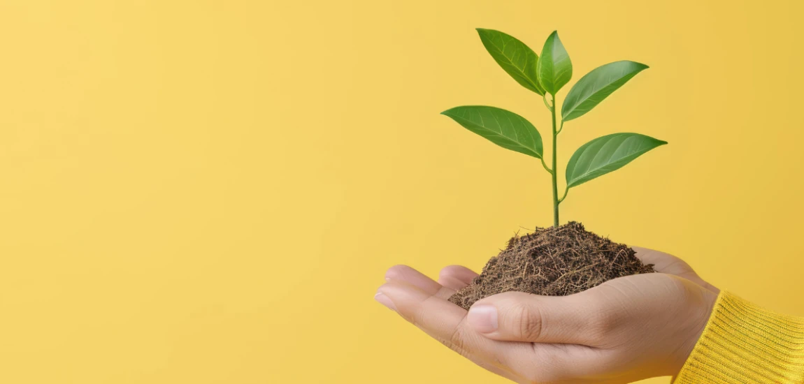 Community-Owned Tourism Value Creation Networks: Building Local Wealth Through Sustainable Tourism