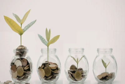 Stress-Reducing Wealth Architecture – Designing Finances That Calm the Nervous System