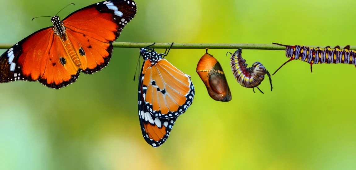 Destination Evolution Analytics – Analyzing How Tourism Destinations Transform Over Time