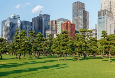 Destination Well-Being Architecture – How Urban Design, Public Spaces, Lighting, Greenery, and Mobility Could Make Entire Cities Better for Travelers