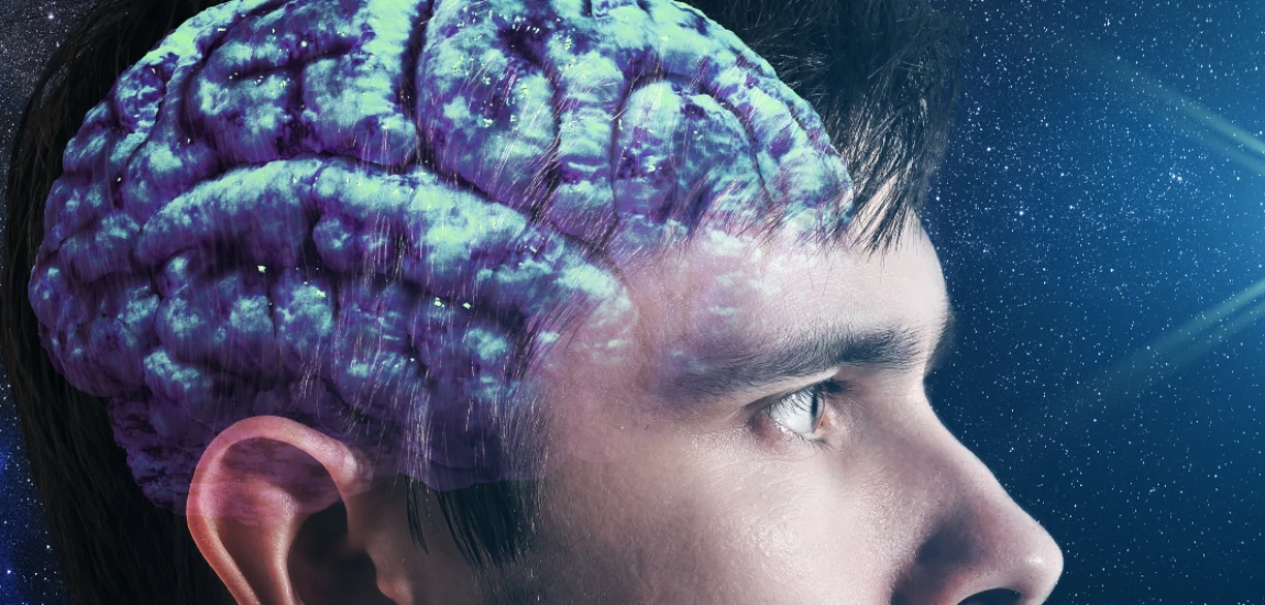 Digital Consciousness Simulation and Synthetic Minds: Exploring the Future of Artificial Awareness