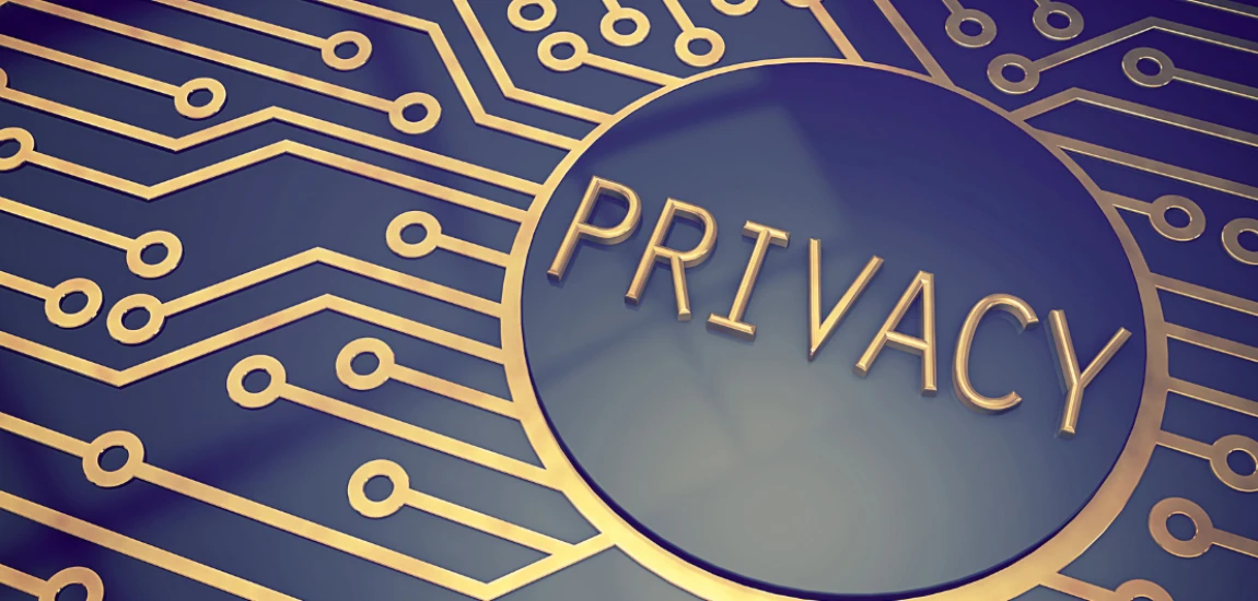 Digital Identity and the Future of Online Privacy