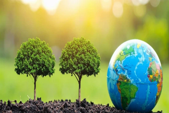 Digital Twin Earth Platforms and the Evolution of Planet-Scale Environmental Intelligence