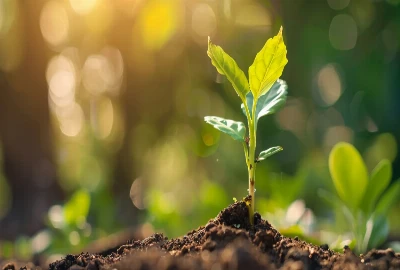  Long-Term Tourism Legacy and Intergenerational Impact Intelligence: Building Sustainable Destinations for Future Generations