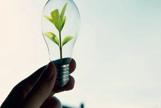 Emerging Destination Development – Growing Lesser-Known Places Sustainably